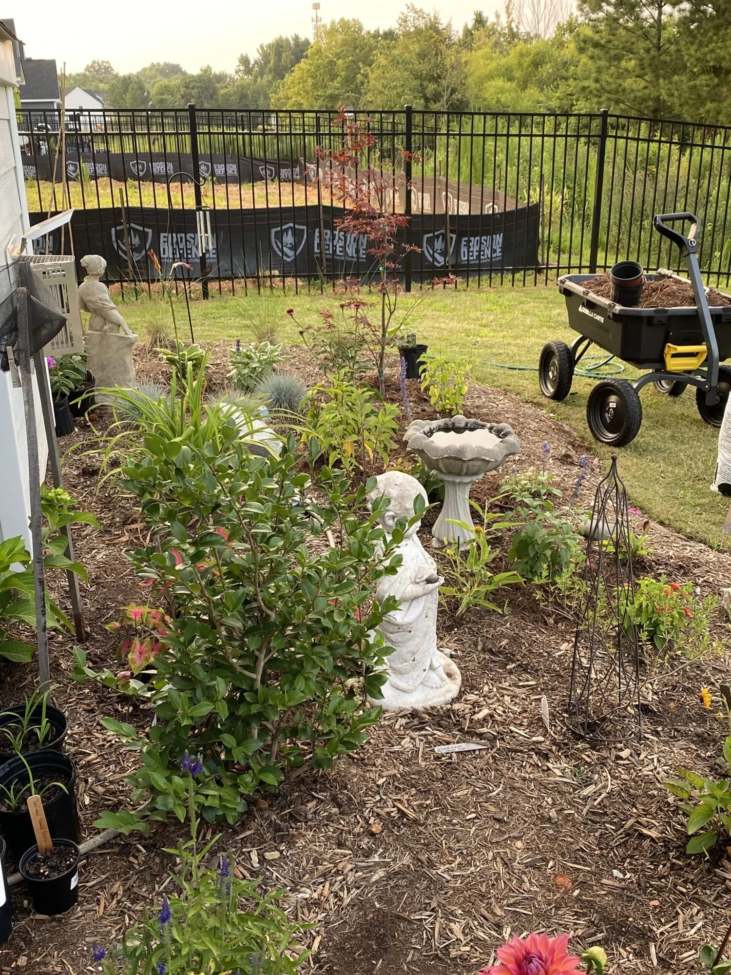 Garden bed with plantings and gorilla cart filled with mulch.
