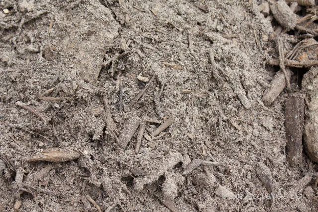 A close up of a pile of dirt and rocks.