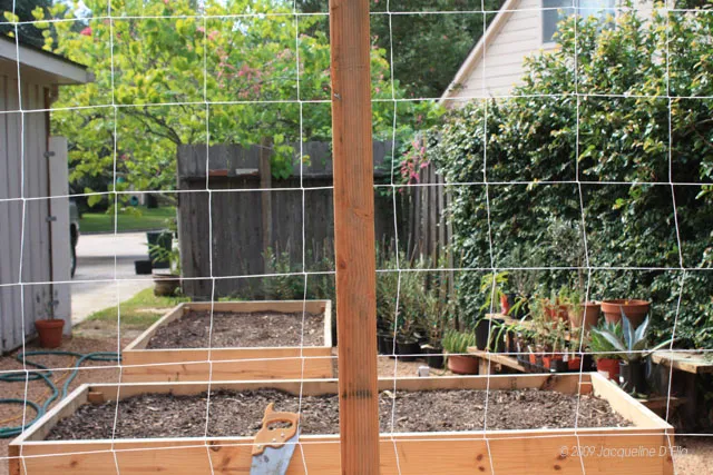 A wooden fence with a vertical trellis.