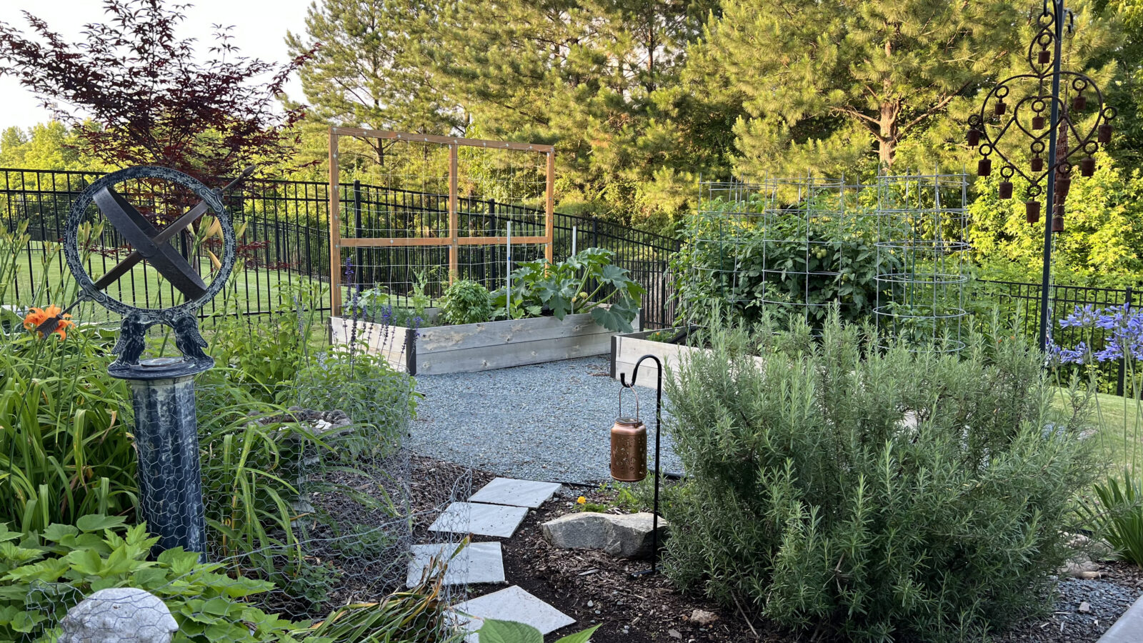 A fenced backyard garden with raised beds, vegetable plants, a gravel path, metal garden art, and surrounding greenery under a clear sky.